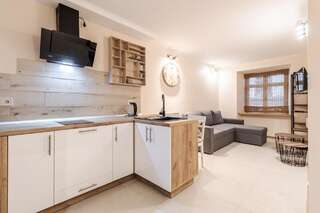 Апартаменты Staroevreyska timber apartment Львов Апартаменты с 1 спальней-15