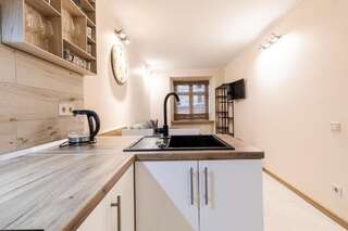 Апартаменты Staroevreyska timber apartment Львов Апартаменты с 1 спальней-35